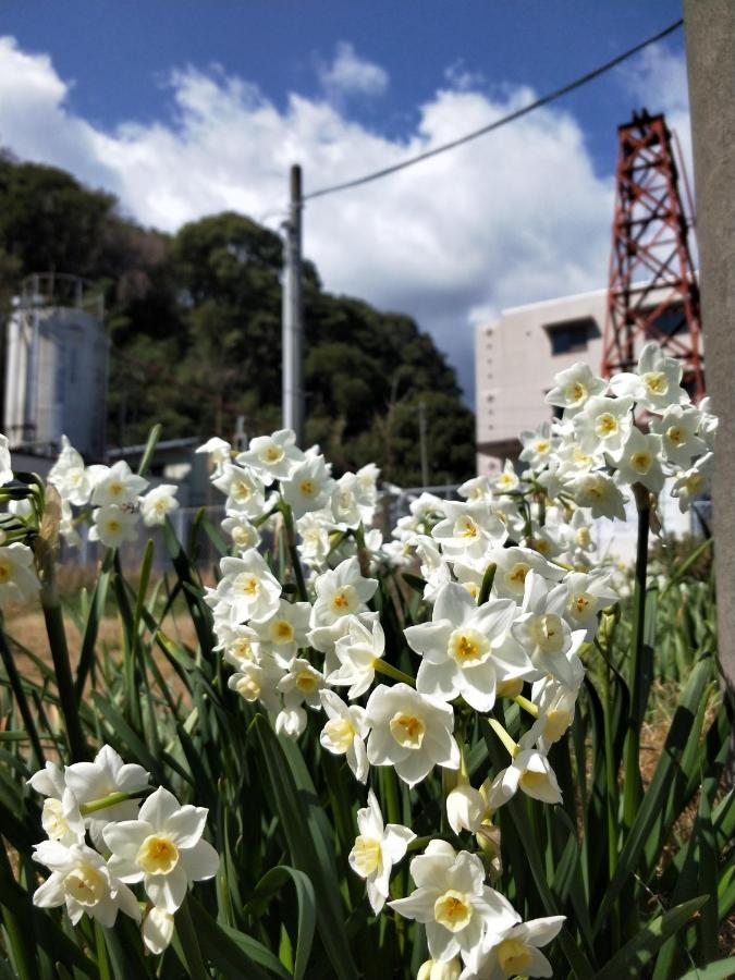 Izu Shirada Villa 伊豆白田家 Higashiizu Esterno foto