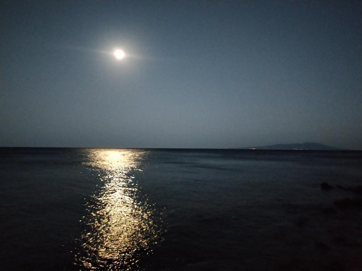 Izu Shirada Villa 伊豆白田家 Higashiizu Esterno foto