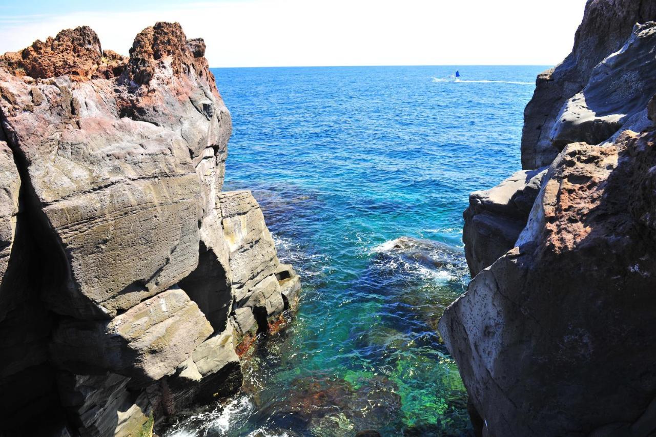Izu Shirada Villa 伊豆白田家 Higashiizu Esterno foto